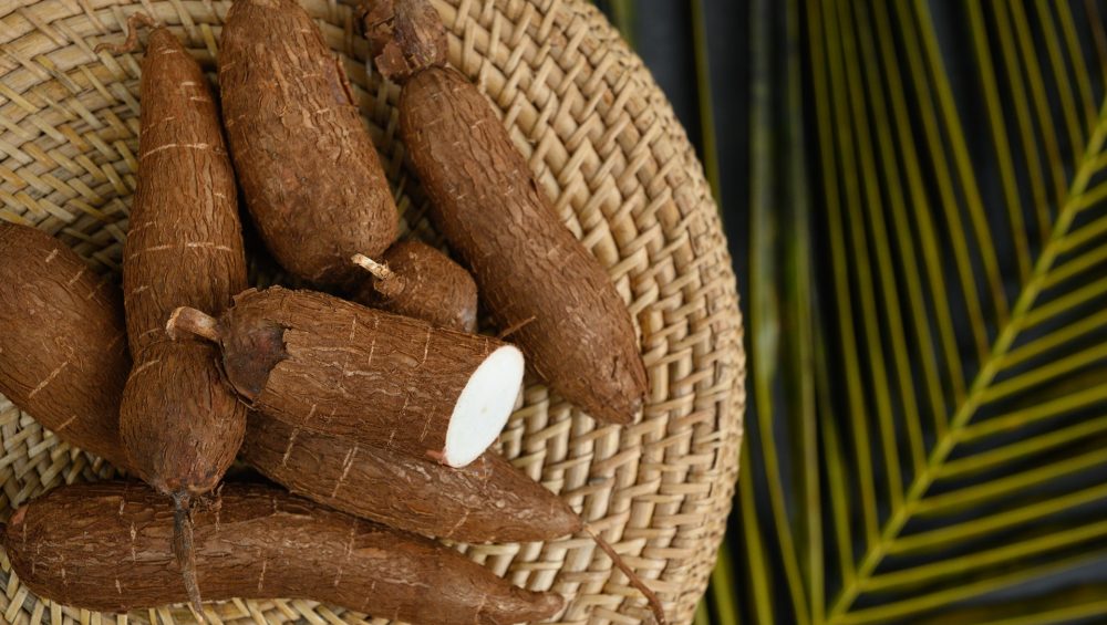 Exploring Cassava: Nutrition, Benefits, and Recipes