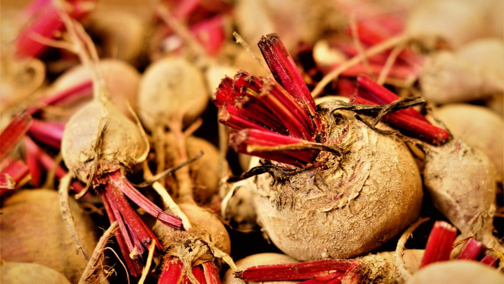 Discover Rutabaga: A Versatile Root for Paleo Diets