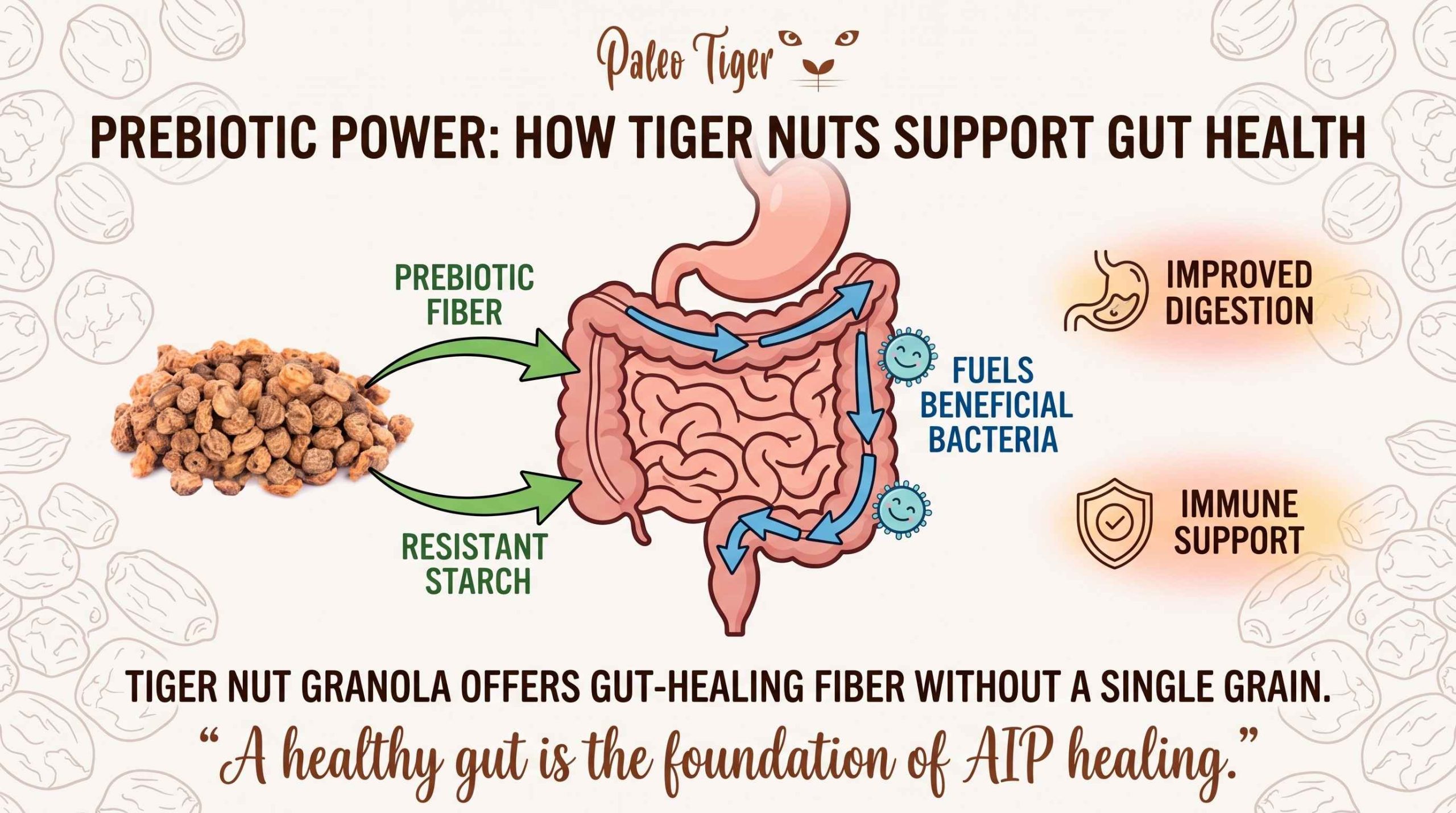 Is Tiger Nut Granola AIP-Friendly? Benefits, Ingredients & What to Know